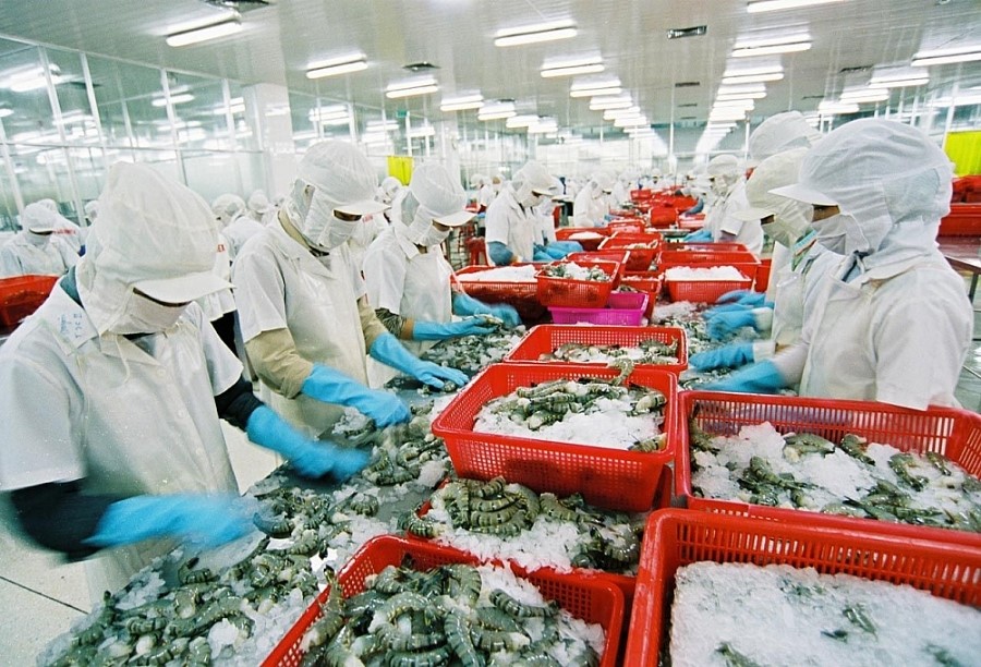 Tốc độ tăng trưởng xuất khẩu thủy sản nửa cuối năm sẽ phụ thuộc lớn vào tốc độ kiểm soát dịch bệnh