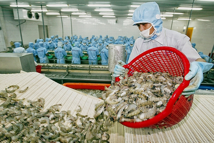 Việt Nam là thị trường cung cấp tôm lớn nhất cho Nhật Bản