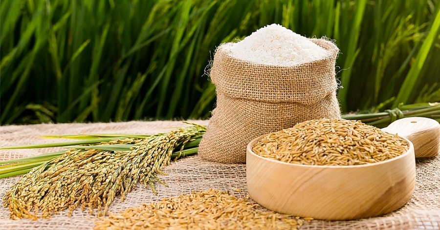 Gạo Việt Nam nhiều cơ hội vào thị trường Thụy Điển