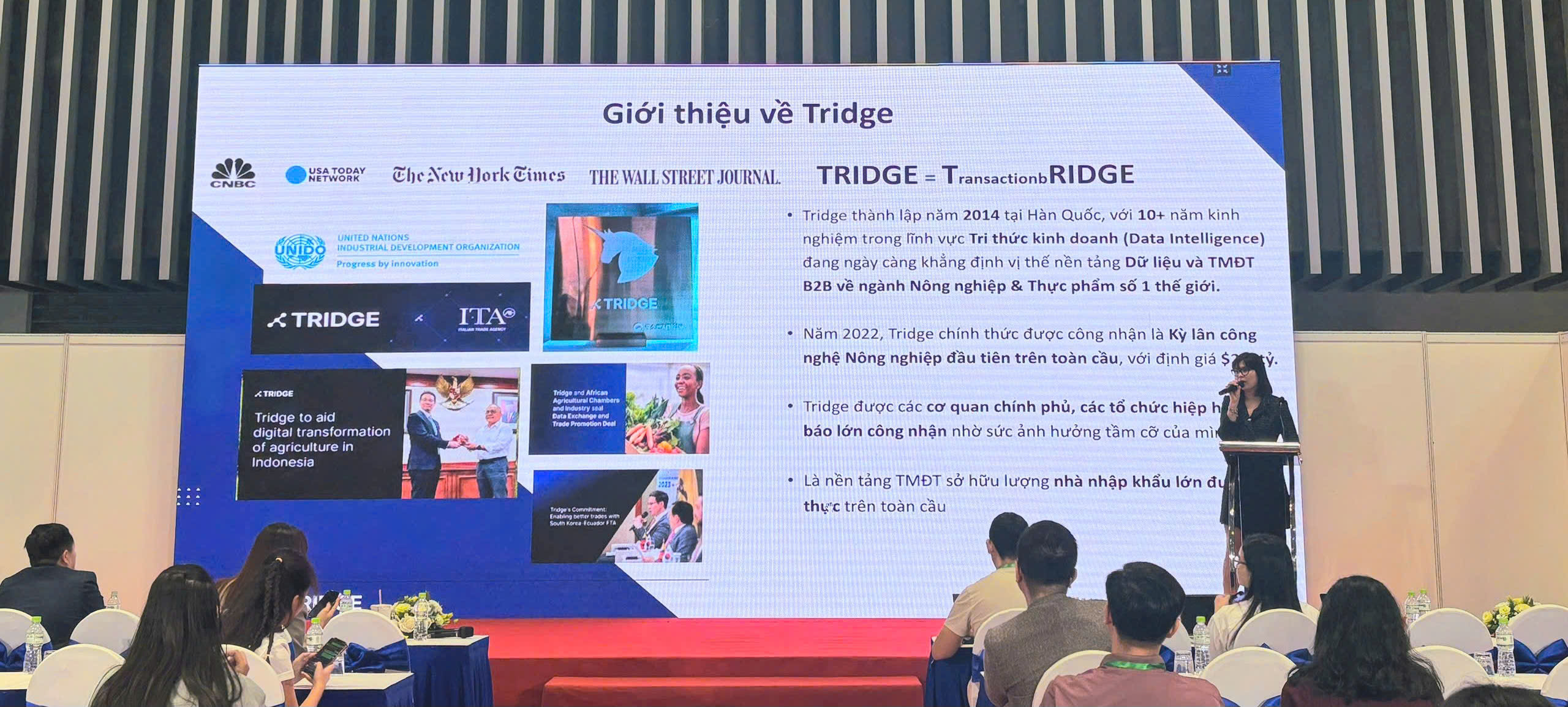 Đại diện OSB giới thiệu về dịch vụ Tridge