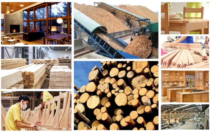Hoạt động sản xuất, chế biến và sản phẩm gỗ phục vụ xuất khẩu