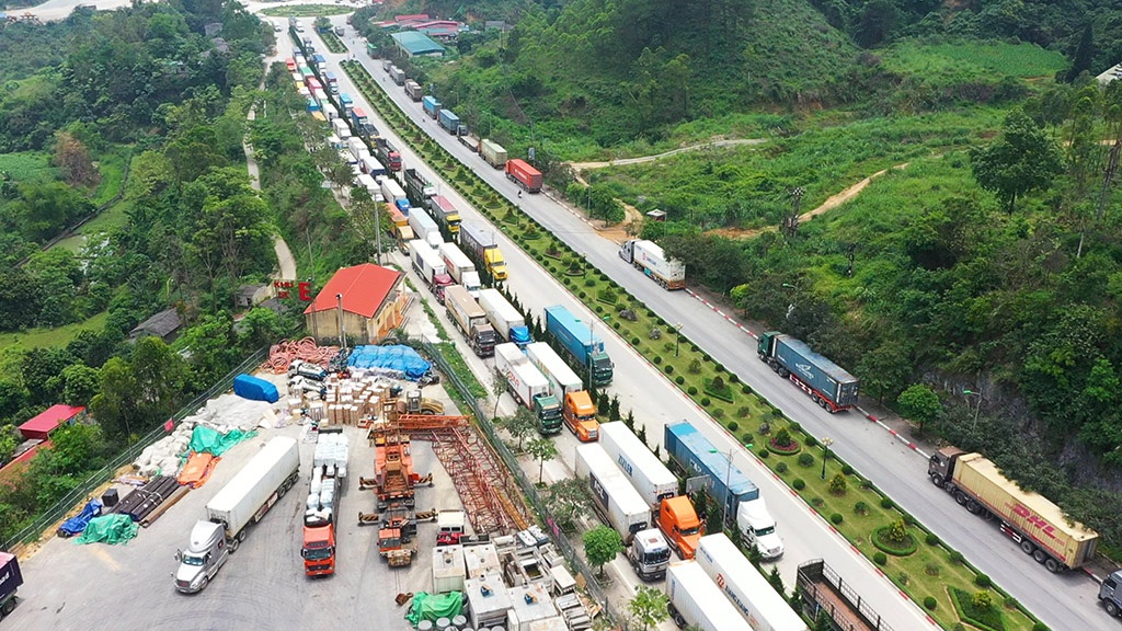 Xuất khẩu nông sản sang Trung Quốc 2026