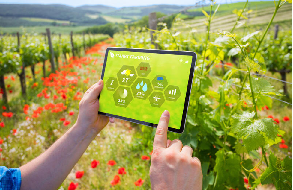 Ứng dụng công nghệ Smart Farming giúp nông dân kiểm soát các chỉ số môi trường và sức khỏe cây trồng theo thời gian thực
