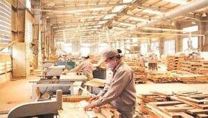 Xuất khẩu gỗ vượt mốc 17 tỷ USD, khẳng định vị thế ngành gỗ Việt Nam