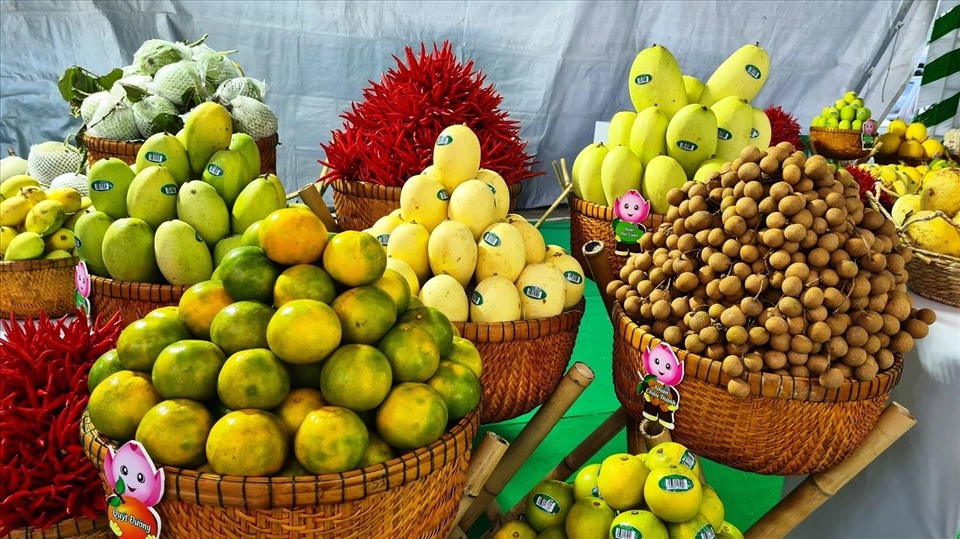 Xuất khẩu rau quả sang Trung Quốc đạt kỷ lục trong năm 2025